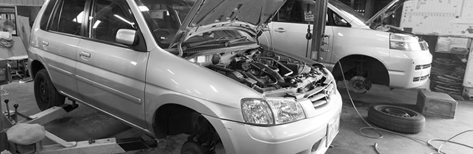 Serving Ewhurst and the surrounding areas for over 19 years.